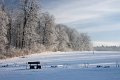 IMG_9581