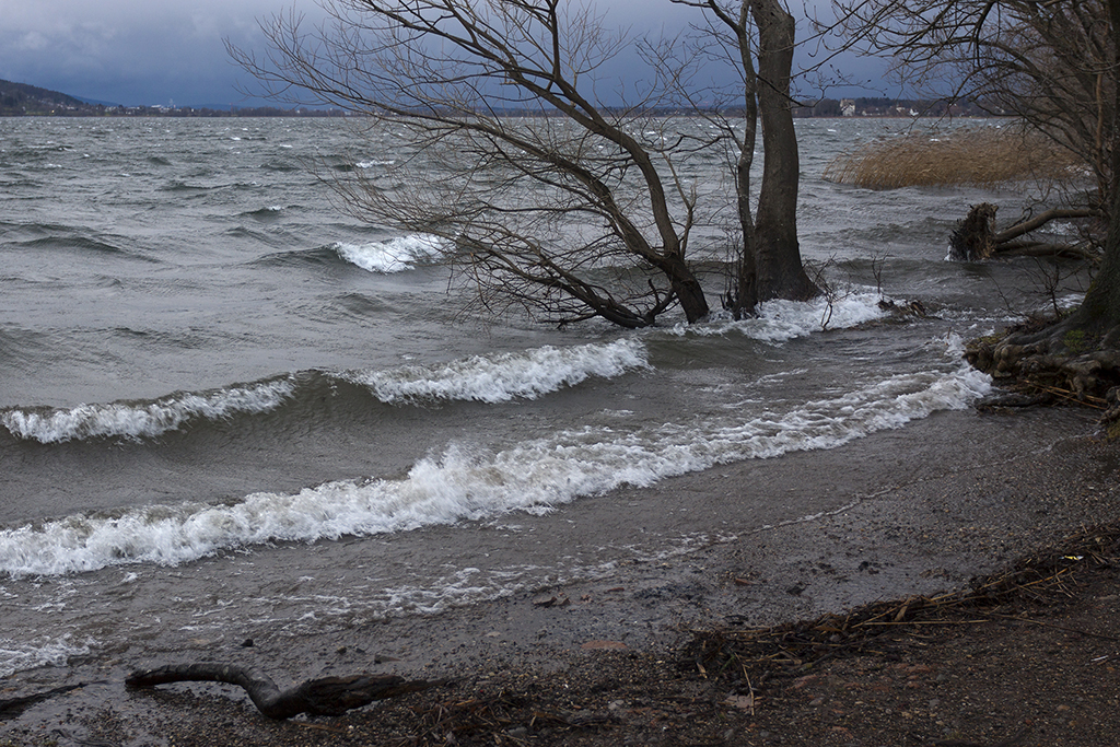 Greifensee_17.jpg