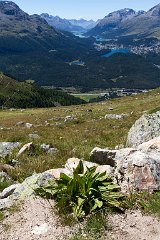 Engadin_Tag_1_18
