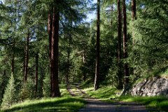 Engadin_Tag_1_35