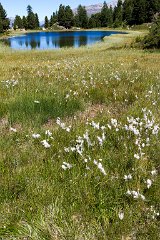 Engadin_Tag_2_22