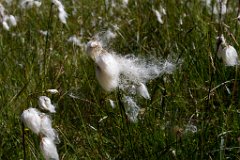 Engadin_Tag_2_23