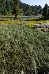 Engadin_Tag_2_27