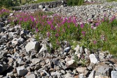 Engadin_Tag_2_28