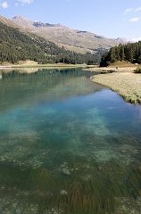 IMG_6286