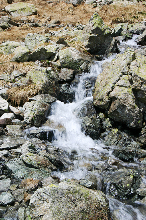 100_0066.JPG
