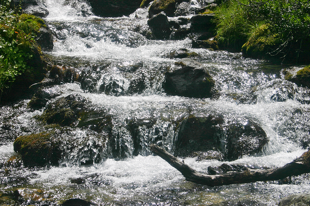 100_0037.JPG