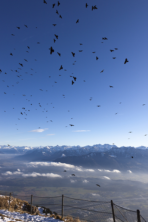 Hoher_Kasten_07.jpg