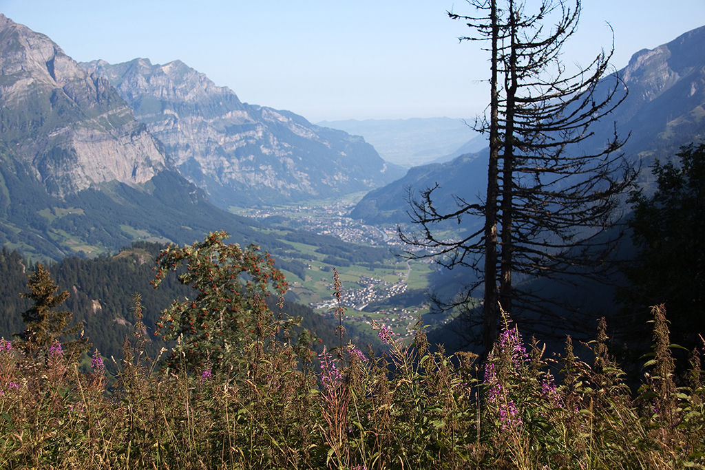 IMG_7662.jpg