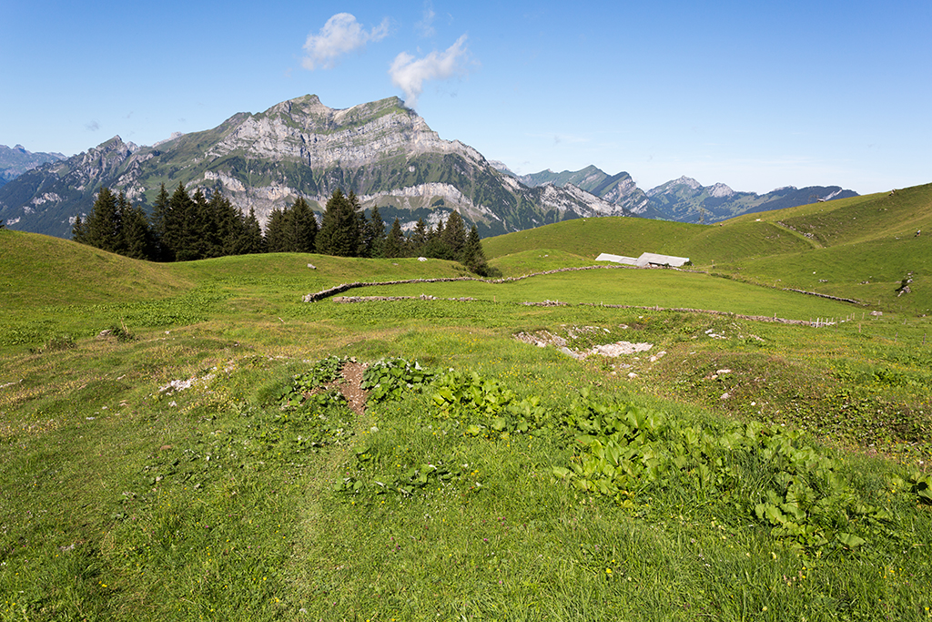 Schilt_13.jpg