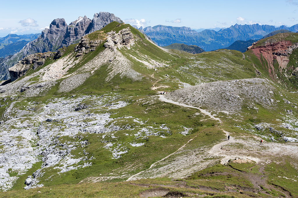 Schilt_22.jpg
